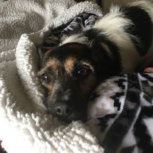 Meet your Posher, Alanna